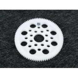 48 Pitch Spur Gear 81T